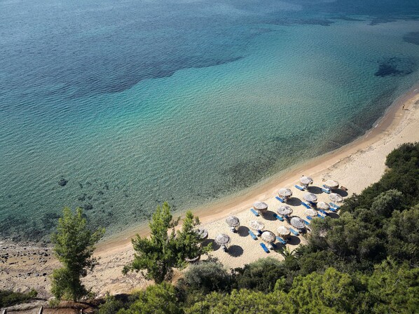 Playa