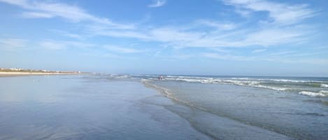 Beach in front of condo