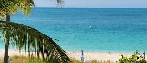 Vue sur la plage ou l’océan