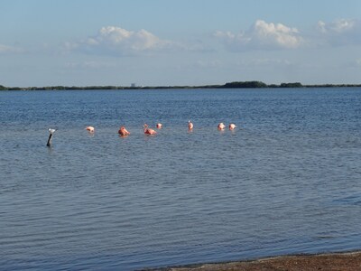 Escapada de playa, pesca y sitios mayas