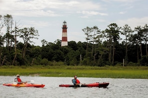 Kayak