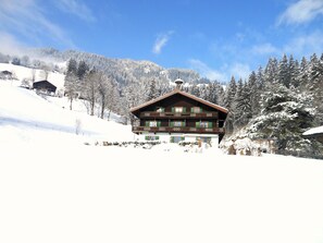 Haus im Winter- Appartement im 1. und 2. Stock