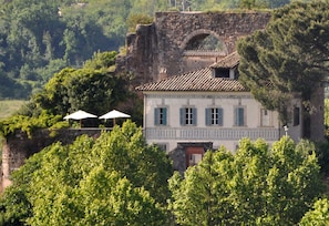Main facade with Renaissance etchings and terrace garden