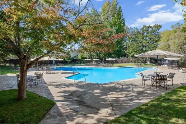 Experience Napa Valley luxury! Immerse in tranquility at our serene, sophisticated pool oasis.