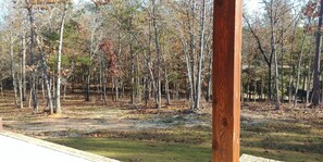 View from the Front Porch