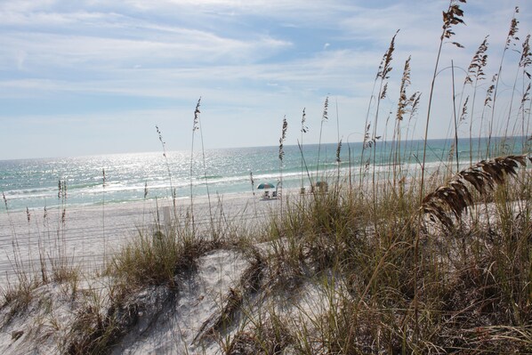 WALK STRAIGHT ONTO THE SAND (NO STEPS)