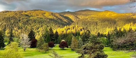 Picture taken from the deck of rental property.  Lake Whatcom and SV golf course