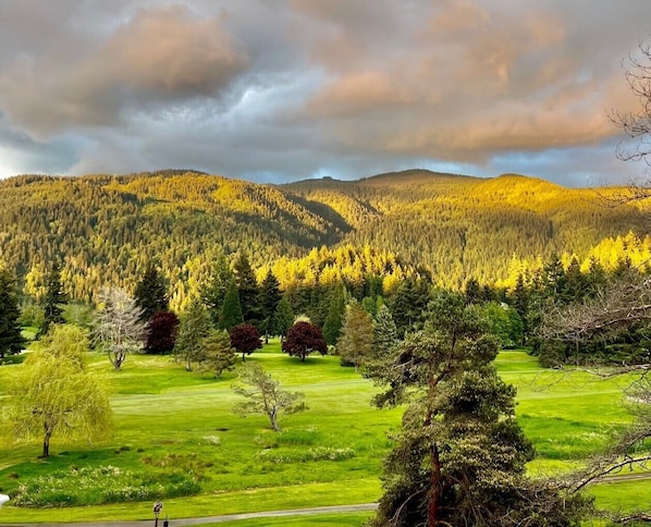 Picture taken from the deck of rental property.  Lake Whatcom and SV golf course