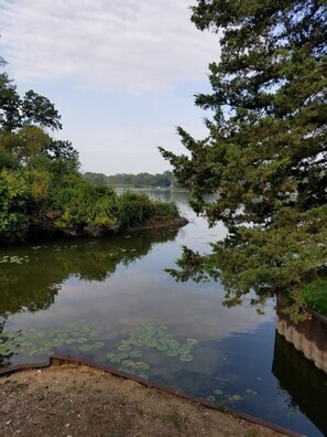 View from Front Patio