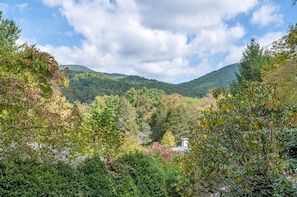 View from deck - front porch