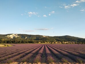 Oklassificerad bild, 5 av 54, knapp