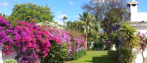 West side , facing north.
Garten west Seite, richtung norden.  