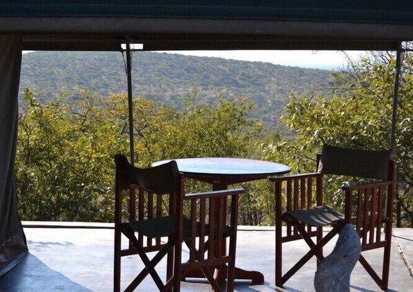 Terras