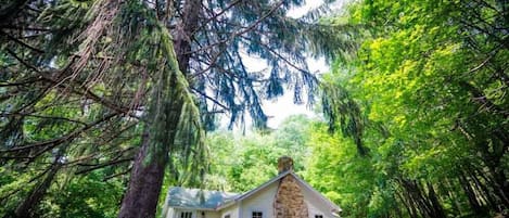 Experience the beauty of the Laurel Highlands. Book your mountain getaway today.
We offer the most unique collection of vacation homes in Laurel Highlands. From a cozy couple's getaway to a sprawling 400-acre private retreat, we have the perfect accommodations for your destination getaway.