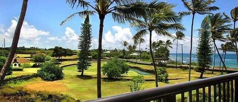 Lanai View