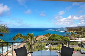 Lanai View