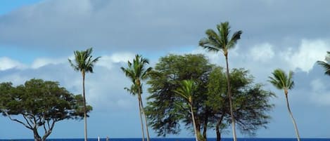 Maui Eldorado Resort J123, 1 Bedroom Ocean View