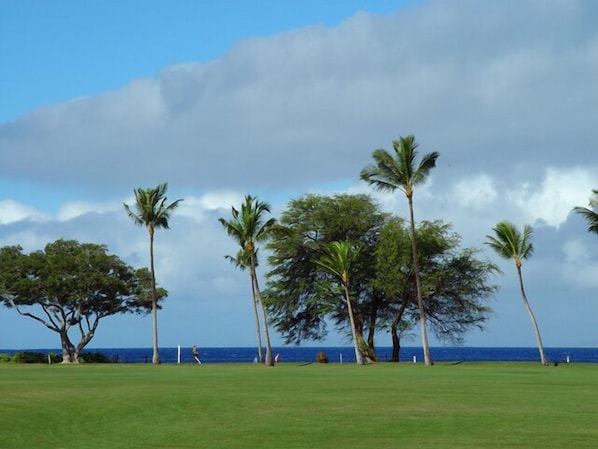 Maui Eldorado Resort J123, 1 Bedroom Ocean View