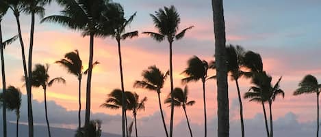 Napili Shores Resort located on beautiful Napili bay --- magical sunsets!