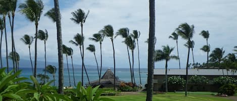 Napili Shores Resort