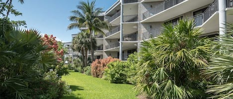 Tropical Courtyard