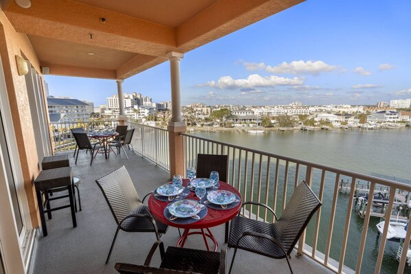 Get a Bird's Eye View of the Dolphins Passing By!