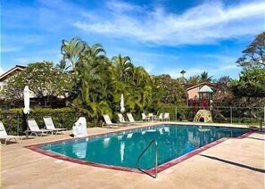 Dolphin Pool
