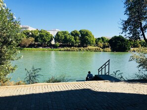 Lake
