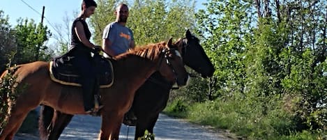 passeggiata a Cavallo