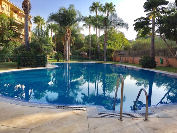 Garden and swimming pool