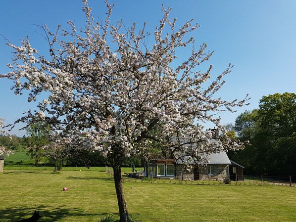 Boendeområde