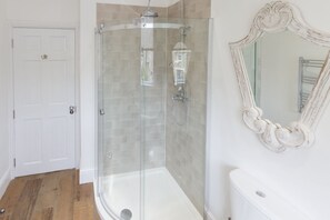 Walk-in shower within the bathroom