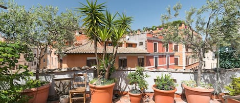 roof terrace