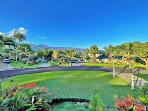 Views from upstairs lanai