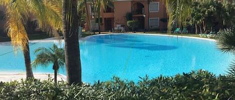 View of pool from apartment private garden