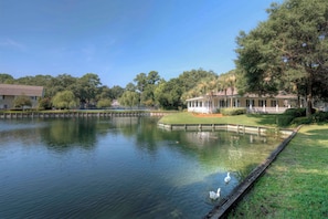 Tranquil Lakeside View – Ocean Walk R1 - This peaceful lakefront scene defines Ocean Walk R1. Just outside your St. Simons condo, ducks drift by as palms sway — the perfect start or end to a day at the beach or Pier Village.