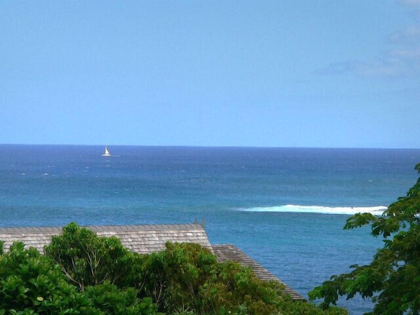 Lanai View