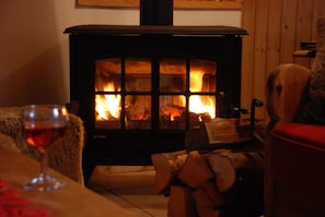 Cosy wood burner - logs provided