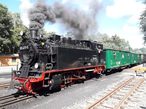 Rasender Roland im Bahnhof Göhren