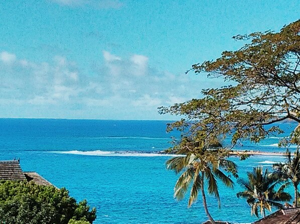 Lanai View