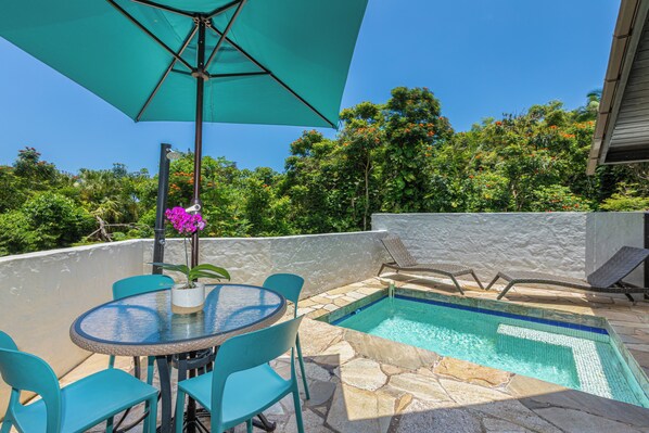 Lanai area is private with dipping pool