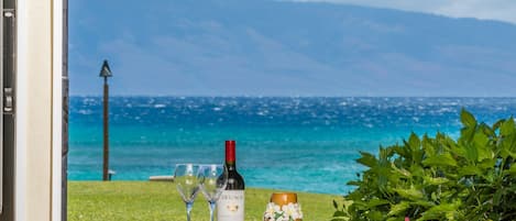 Your daily view - Sipping wine looking at the beautiful view of the ocean!