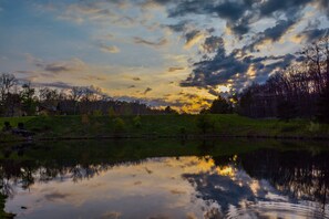 Pond View