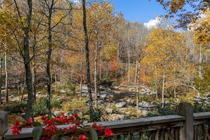 River view from back deck in the fall