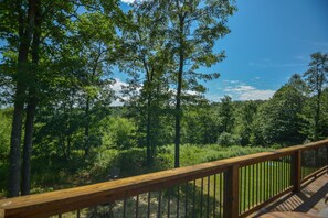 Deck Views