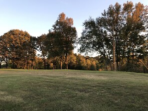 The view of the back yard