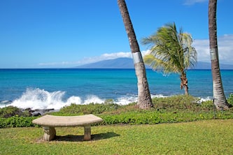 Experience the beauty of Polynesian Shores #124