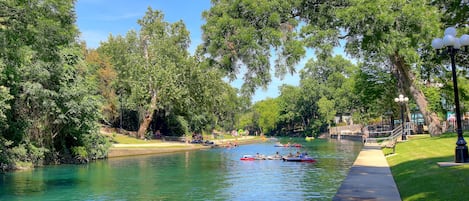 Gorgeous Comal River!