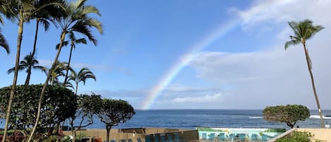 View of ocean and pool from the lanai