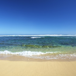 Ocean